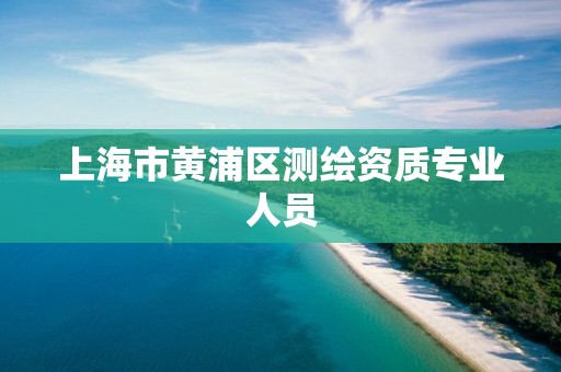 上海市黄浦区测绘资质专业人员