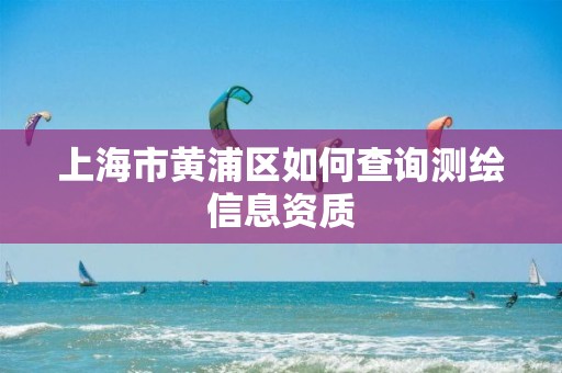 上海市黄浦区如何查询测绘信息资质