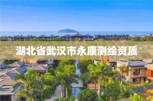 湖北省武汉市永康测绘资质