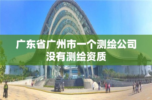 广东省广州市一个测绘公司没有测绘资质