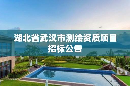 湖北省武汉市测绘资质项目招标公告