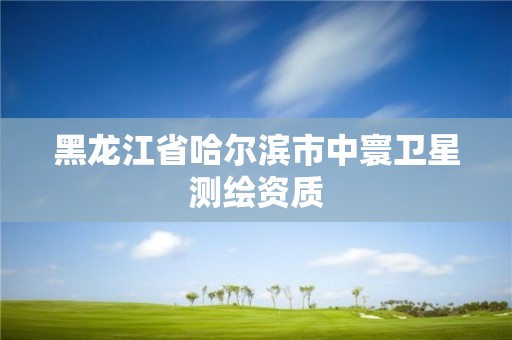 黑龙江省哈尔滨市中寰卫星测绘资质