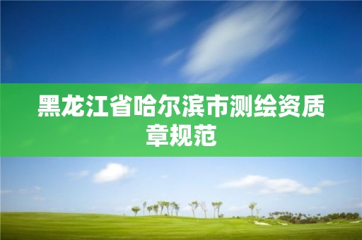 黑龙江省哈尔滨市测绘资质章规范