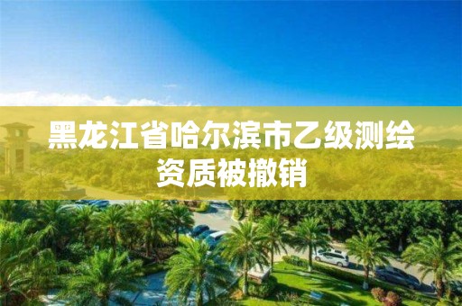 黑龙江省哈尔滨市乙级测绘资质被撤销