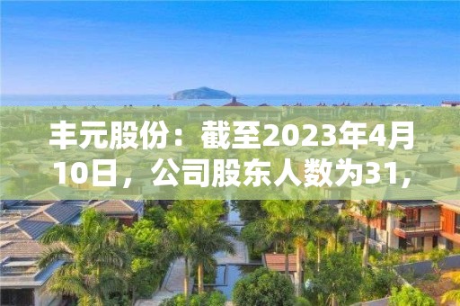 丰元股份：截至2023年4月10日，公司股东人数为31,386