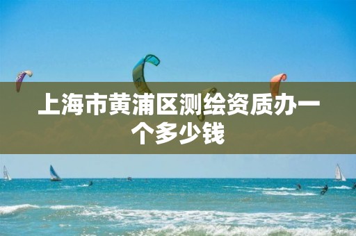 上海市黄浦区测绘资质办一个多少钱