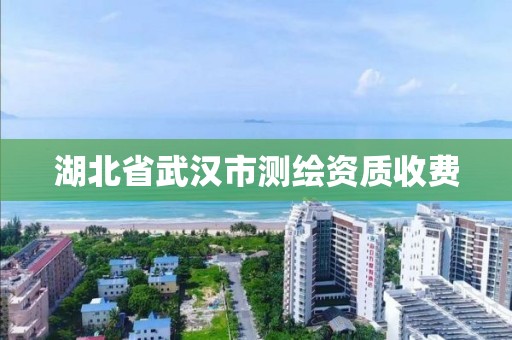 湖北省武汉市测绘资质收费