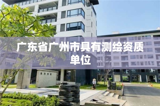 广东省广州市具有测绘资质单位