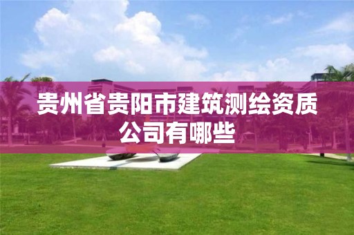 贵州省贵阳市建筑测绘资质公司有哪些