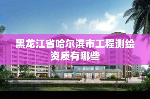 黑龙江省哈尔滨市工程测绘资质有哪些