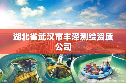 湖北省武汉市丰泽测绘资质公司