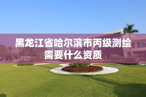 黑龙江省哈尔滨市丙级测绘需要什么资质