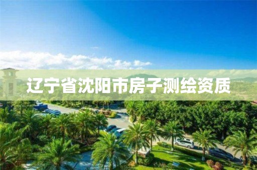 辽宁省沈阳市房子测绘资质