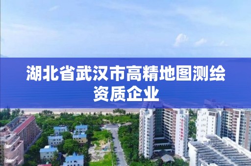 湖北省武汉市高精地图测绘资质企业