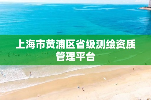 上海市黄浦区省级测绘资质管理平台