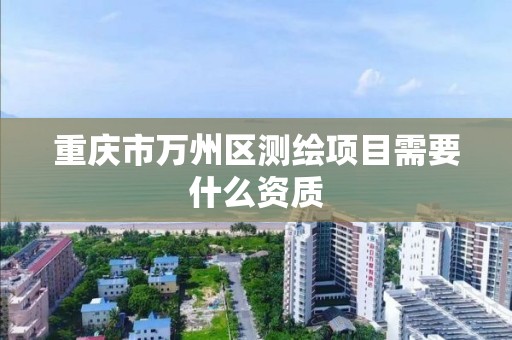 重庆市万州区测绘项目需要什么资质