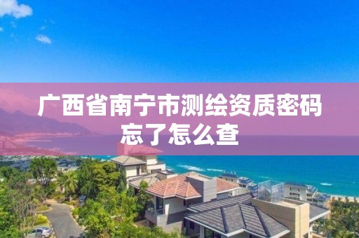 广西省南宁市测绘资质密码忘了怎么查