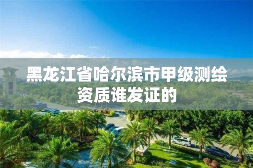 黑龙江省哈尔滨市甲级测绘资质谁发证的