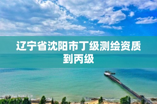 辽宁省沈阳市丁级测绘资质到丙级