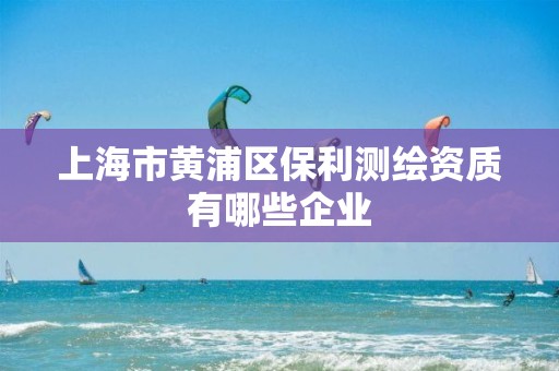 上海市黄浦区保利测绘资质有哪些企业