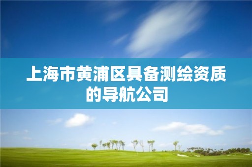 上海市黄浦区具备测绘资质的导航公司