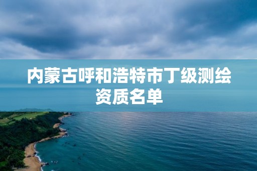 内蒙古呼和浩特市丁级测绘资质名单