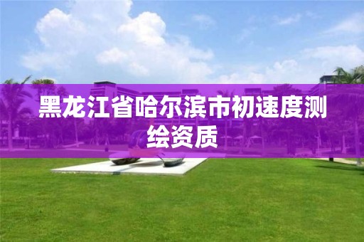 黑龙江省哈尔滨市初速度测绘资质