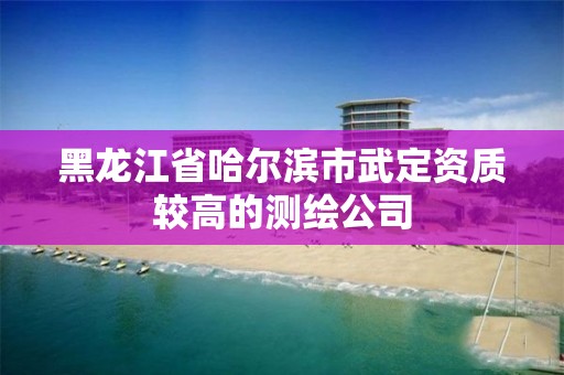 黑龙江省哈尔滨市武定资质较高的测绘公司