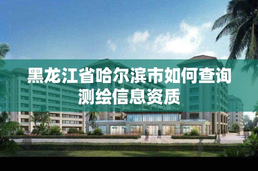 黑龙江省哈尔滨市如何查询测绘信息资质