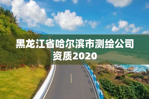 黑龙江省哈尔滨市测绘公司资质2020