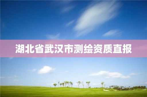 湖北省武汉市测绘资质直报