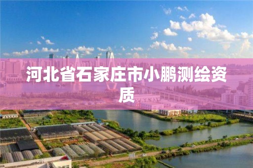 河北省石家庄市小鹏测绘资质