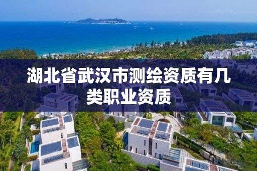 湖北省武汉市测绘资质有几类职业资质