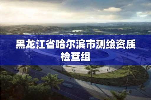 黑龙江省哈尔滨市测绘资质检查组