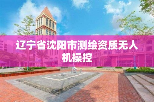 辽宁省沈阳市测绘资质无人机操控