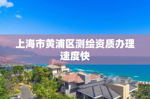 上海市黄浦区测绘资质办理速度快