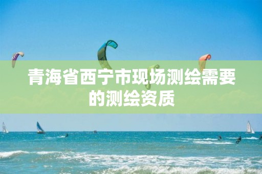 青海省西宁市现场测绘需要的测绘资质