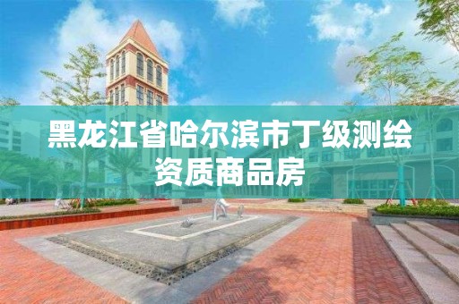 黑龙江省哈尔滨市丁级测绘资质商品房