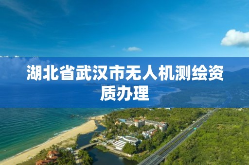 湖北省武汉市无人机测绘资质办理