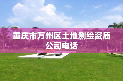 重庆市万州区土地测绘资质公司电话