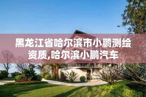 黑龙江省哈尔滨市小鹏测绘资质,哈尔滨小鹏汽车