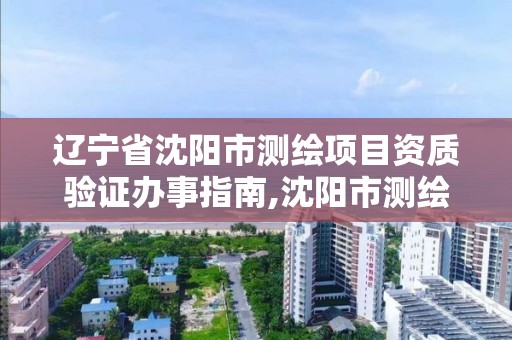 辽宁省沈阳市测绘项目资质验证办事指南,沈阳市测绘局官网。