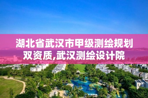 湖北省武汉市甲级测绘规划双资质,武汉测绘设计院