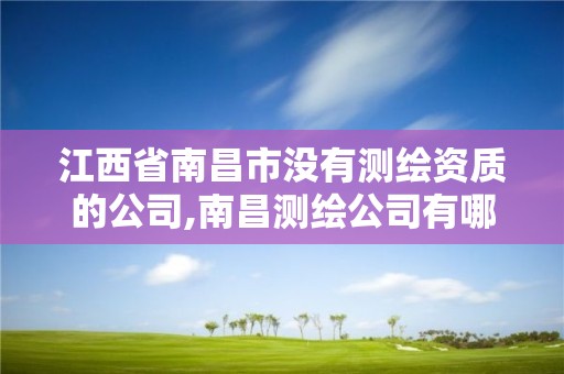 江西省南昌市没有测绘资质的公司,南昌测绘公司有哪些