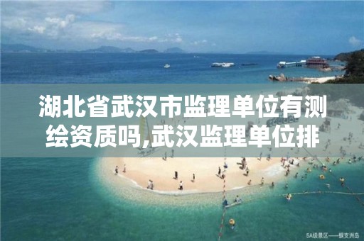 湖北省武汉市监理单位有测绘资质吗,武汉监理单位排行榜