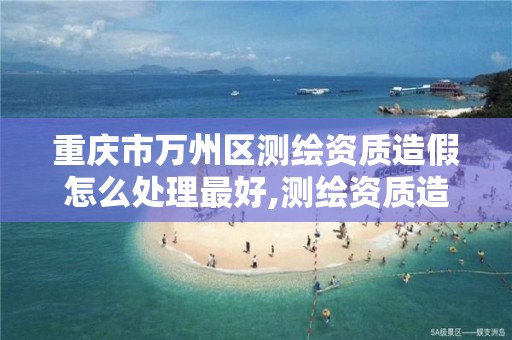 重庆市万州区测绘资质造假怎么处理最好,测绘资质造假在哪里举报