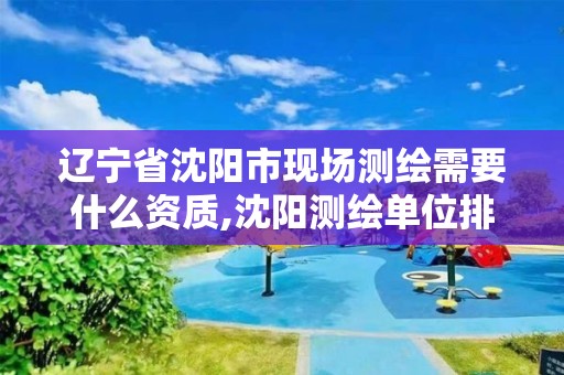 辽宁省沈阳市现场测绘需要什么资质,沈阳测绘单位排名