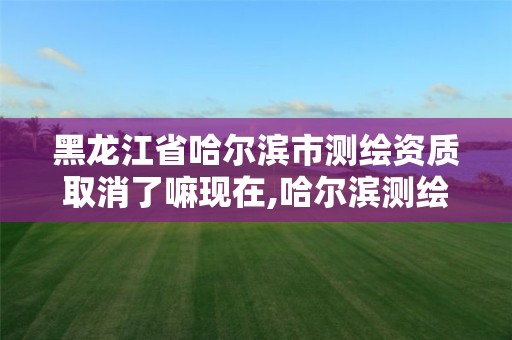 黑龙江省哈尔滨市测绘资质取消了嘛现在,哈尔滨测绘局怎么样