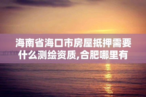 海南省海口市房屋抵押需要什么测绘资质,合肥哪里有圣罗兰包包专柜。