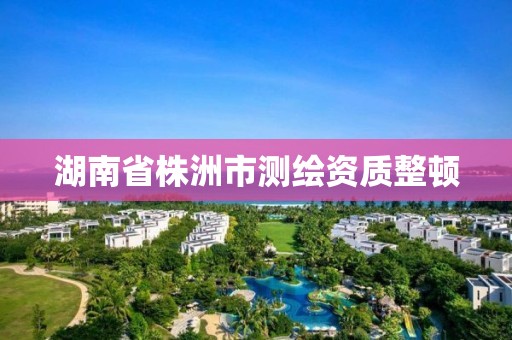 湖南省株洲市测绘资质整顿